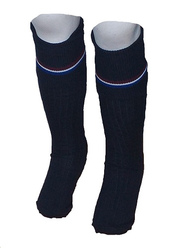 Capital Park Boys Long Socks - Click Image to Close