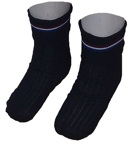 Capital Park Girls Anklet Socks - Click Image to Close