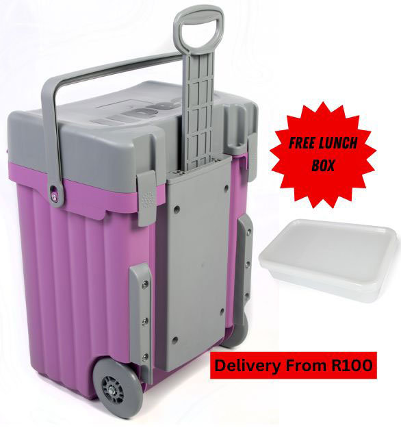 Cadii School Bag With Free Lunch Box Lilac/Grey